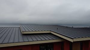 Best Solar Panel Roofing Installation  in Williamstown, NJ